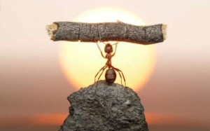 Ρητό της ημέρας